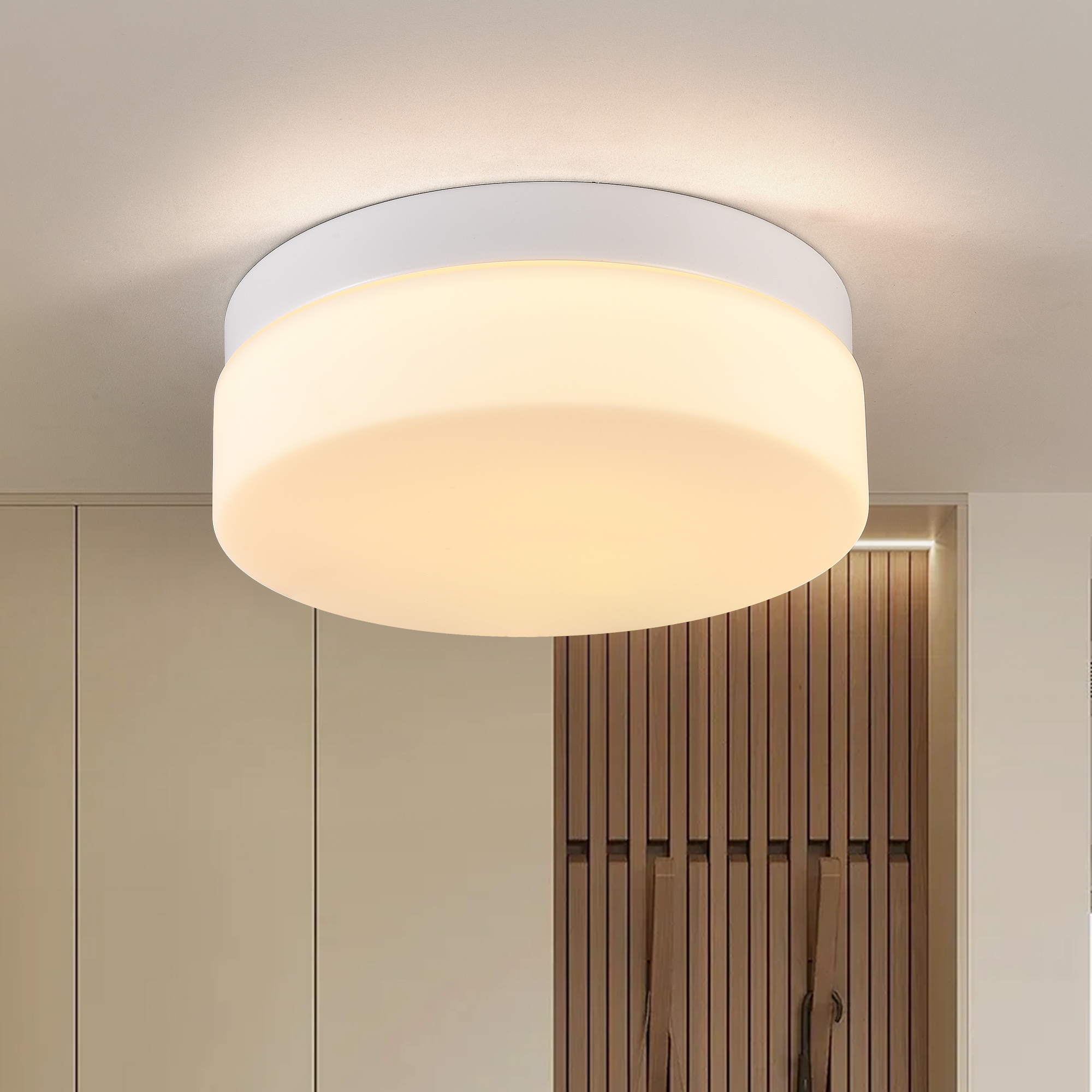 1 PACK LED Flush Mount Ceiling Light Fixture, Modern Kitchen Recessed Ceiling Lamp 24W 12 Inch Closet Round Surface for Bathroom Laundry Bedroom Hallway(White)